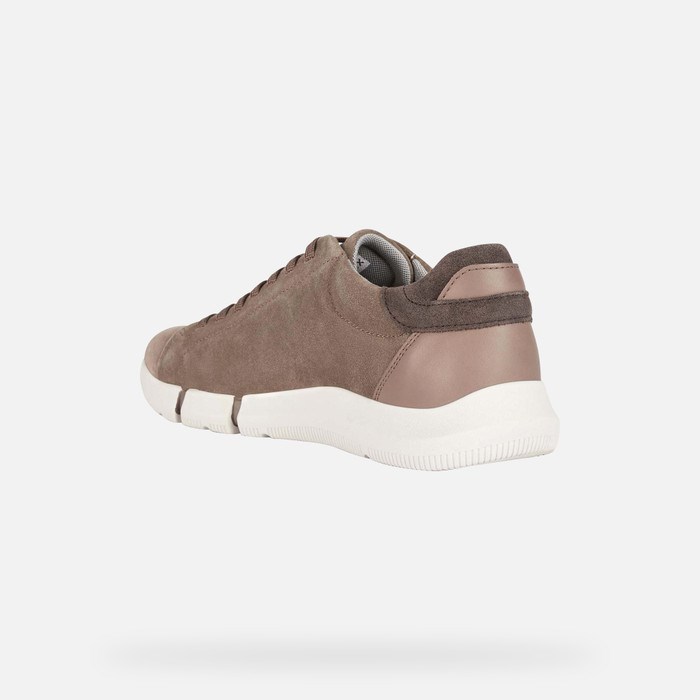 Geox Adacter Sneakers Herre Grå | 68172-OVRJ