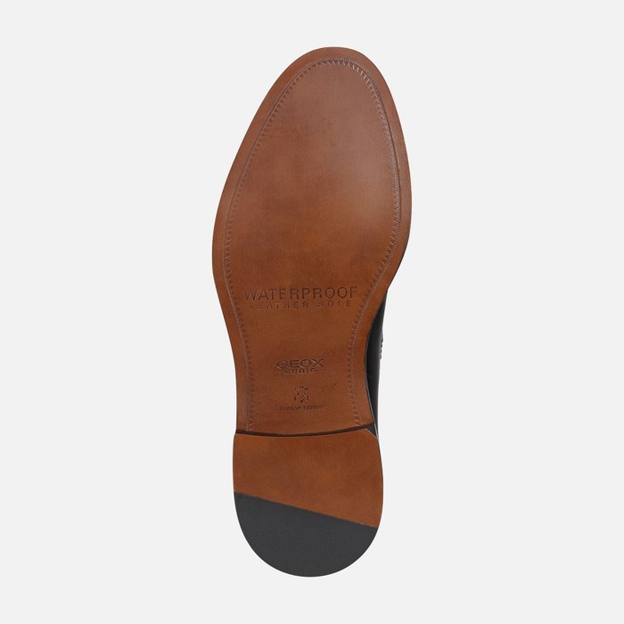 Geox Artenova Loafers Herre Sort | 24986-NKSH