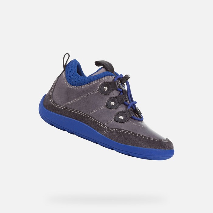 Geox Barefeel Sneakers Pige Grå Kongeblå | 64893-CBRY