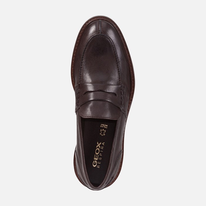 Geox Cannaregio Loafers Herre Mørkekaffe | 02637-XBFD