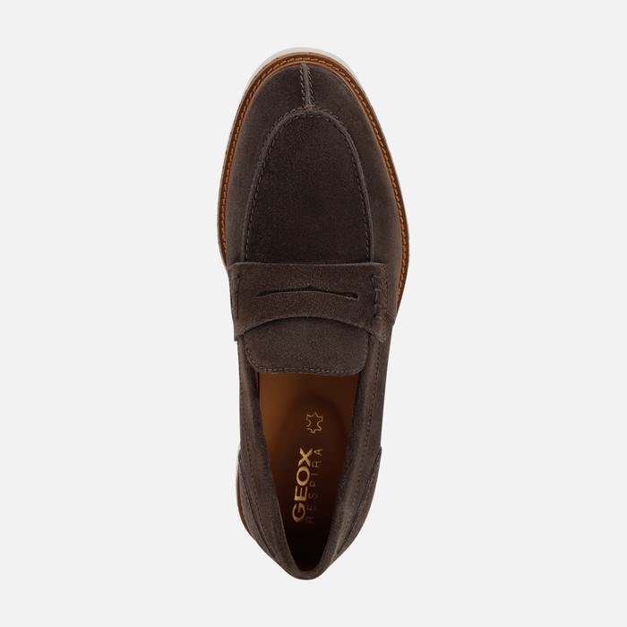 Geox Gubbio Loafers Herre Mørkebrune | 07546-LPJY