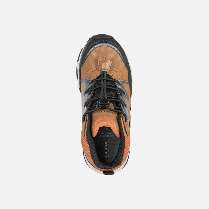 Geox Magnetar Abx Sneakers Drenge Brune Sort | 16830-KMWA